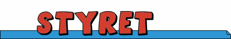Styret